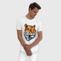 Мужская пижама хлопок Тигр - фото 2