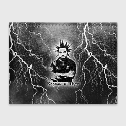 Обложка для студенческого билета Король и Шут - горшок