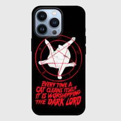 Чехол для iPhone 13 Pro Кот сатаны