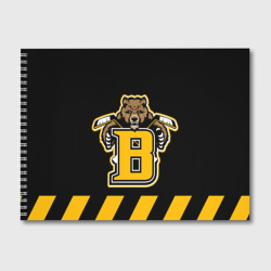 Альбом для рисования Boston Bruins