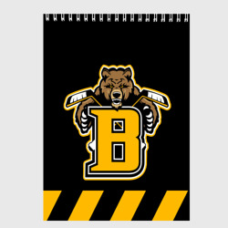 Скетчбук Boston Bruins