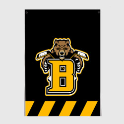 Постер Boston Bruins