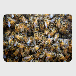 Картхолдер с принтом Пчёлы - фото 2