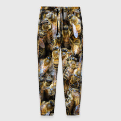Мужские брюки 3D Пчёлы