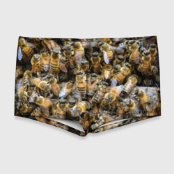 Мужские купальные плавки 3D Пчёлы