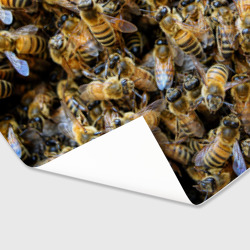 Бумага для упаковки 3D Пчёлы - фото 2