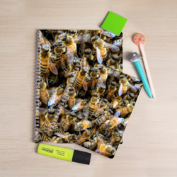 Тетрадь с принтом Пчёлы для любого человека, вид спереди №2. Цвет основы: точка