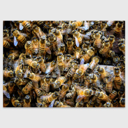 Поздравительная открытка Пчёлы