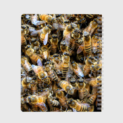 Тетрадь с принтом Пчёлы для любого человека, вид сзади №1. Цвет основы: крупная клетка
