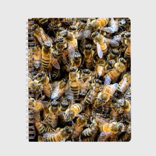 Тетрадь с принтом Пчёлы, вид спереди №1