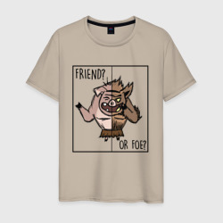 Мужская футболка хлопок Friend of foe