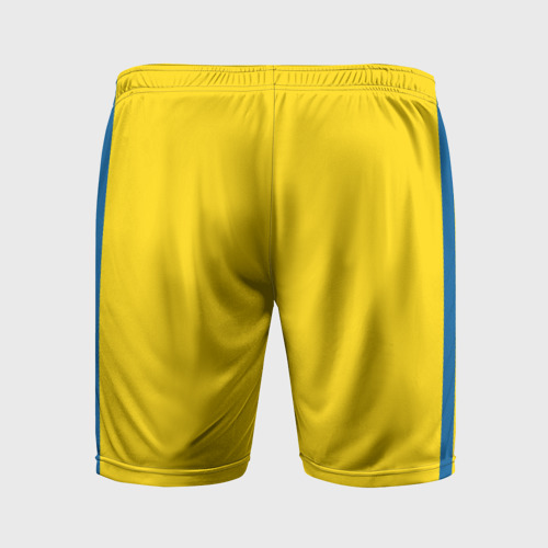 Мужские шорты спортивные Шорты домашние Сборной Швеции, цвет 3D печать - фото 2