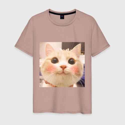 Мужская футболка хлопок Мем про котов, цвет пыльно-розовый