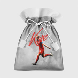 Подарочный 3D мешок Harry Kane footballer