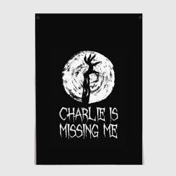 Постер Charlie is missing me