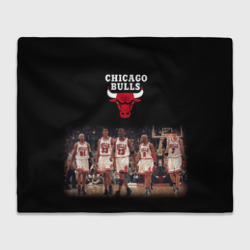 Плед 3D Chicago bulls [3]