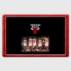 Магнит 45*70 Chicago bulls [3]