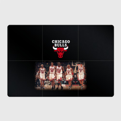 Магнитный плакат 3Х2 Chicago bulls [3]