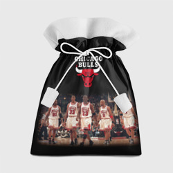 Подарочный 3D мешок Chicago bulls [3]