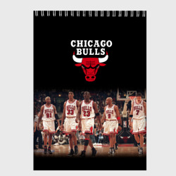 Скетчбук Chicago bulls [3]