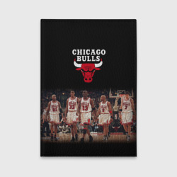 Обложка для автодокументов Chicago bulls [3]