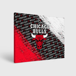 Холст прямоугольный Chicago bulls [6]