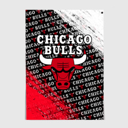 Постер Chicago bulls [6]