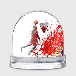 Игрушка Снежный шар Chicago bulls [9]