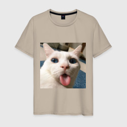 Мужская футболка хлопок Мем про кота