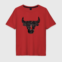 Мужская футболка хлопок Oversize Bulls - Jordan