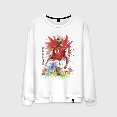 Мужской свитшот хлопок Thierry Daniel Henry
