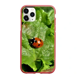 Чехол для iPhone 11 Pro Max матовый Божья коровка на листке