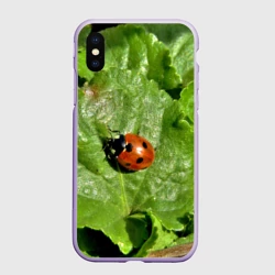 Чехол для iPhone XS Max матовый Божья коровка на листке
