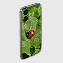 Чехол для iPhone 16 силиконовый с защитой камеры Божья коровка на листке - фото 2
