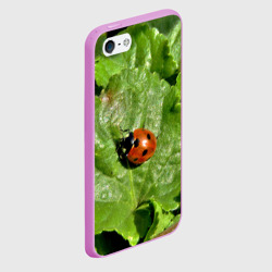 Чехол для iPhone 5/5S матовый Божья коровка на листке - фото 2