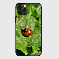 Чехол для iPhone 12 Pro Божья коровка на листке