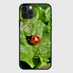 Чехол для iPhone 12 Pro Max Божья коровка на листке