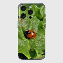 Чехол для iPhone 15 Pro силиконовый с защитой камеры Божья коровка на листке