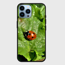 Чехол для iPhone 14 Pro Max Божья коровка на листке
