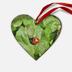 Деревянная игрушка Сердце Божья коровка на листке