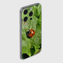 Чехол для iPhone 15 Pro силиконовый с защитой камеры Божья коровка на листке - фото 2