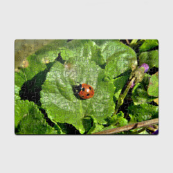 Головоломка Пазл магнитный 126 элементов Божья коровка на листке