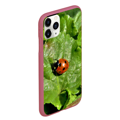 Чехол для iPhone 11 Pro Max матовый Божья коровка на листке, цвет малиновый - фото 3