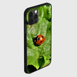 Чехол для iPhone 12 Pro Max Божья коровка на листке - фото 2