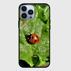 Чехол для iPhone 13 Pro Max Божья коровка на листке