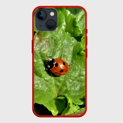 Чехол для iPhone 14 Божья коровка на листке