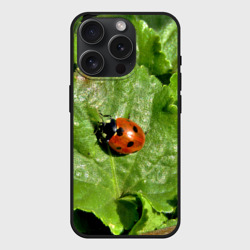 Чехол силиконовый для Apple iPhone 15 Pro матовый Божья коровка на листке