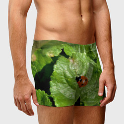 Мужские трусы 3D Божья коровка на листке - фото 2