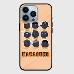 Чехол для iPhone 13 Pro Вороны школы Карасуно Haikyu!!