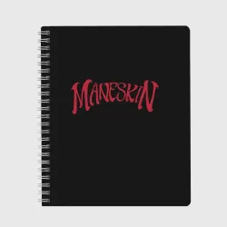 Тетрадь Maneskin. Inscription